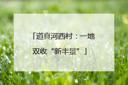 道真河西村：一地双收“新丰景”