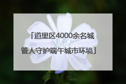道里区4000余名城管人守护端午城市环境