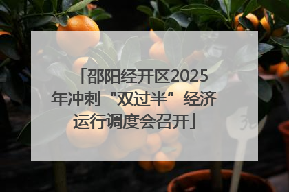 邵阳经开区2025年冲刺“双过半”经济运行调度会召开