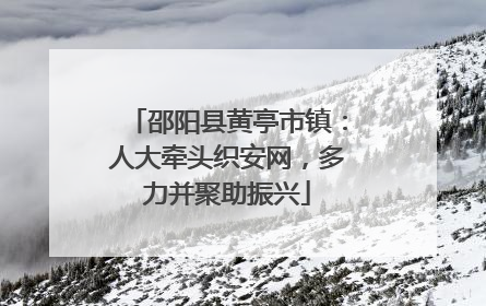 邵阳县黄亭市镇：人大牵头织安网，多力并聚助振兴