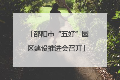 邵阳市“五好”园区建设推进会召开