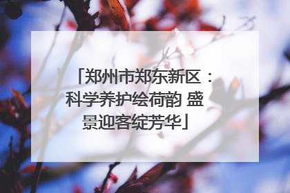 郑州市郑东新区：科学养护绘荷韵 盛景迎客绽芳华
