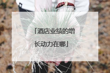 酒店业绩的增长动力在哪
