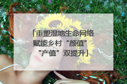 重塑湿地生命网络 赋能乡村“颜值”“产值”双提升