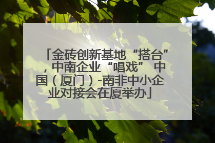 金砖创新基地“搭台”，中南企业“唱戏” 中国（厦门）-南非中小企业对接会在厦举办