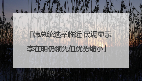 韩总统选举临近 民调显示李在明仍领先但优势缩小