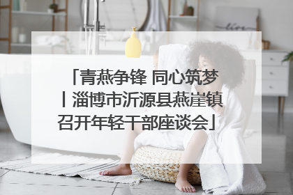 青燕争锋 同心筑梦丨淄博市沂源县燕崖镇召开年轻干部座谈会