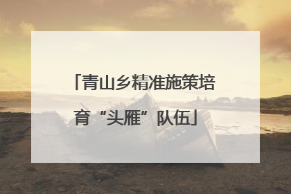 青山乡精准施策培育“头雁”队伍