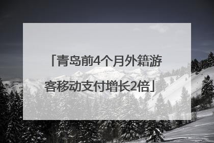 青岛前4个月外籍游客移动支付增长2倍