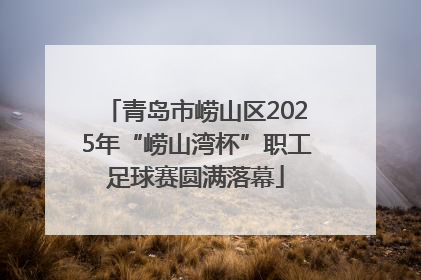 青岛市崂山区2025年“崂山湾杯”职工足球赛圆满落幕