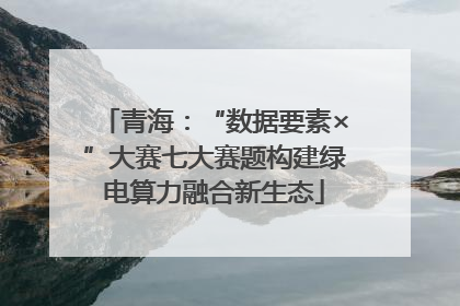 青海：“数据要素×”大赛七大赛题构建绿电算力融合新生态