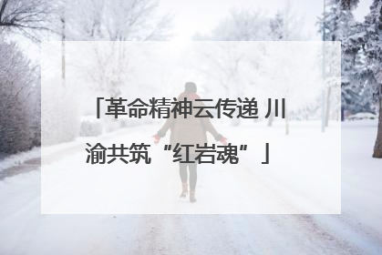 革命精神云传递 川渝共筑“红岩魂”