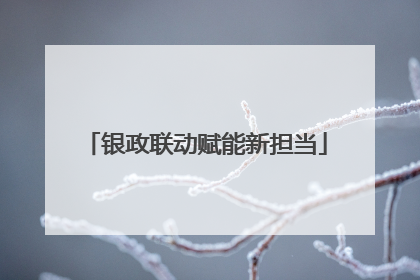 银政联动赋能新担当