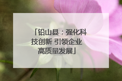 铅山县：强化科技创新 引领企业高质量发展