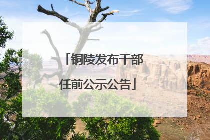 铜陵发布干部任前公示公告