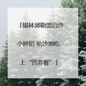 锡林郭勒盟治沙小妙招 给沙地吃上“营养餐”