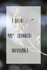 长丰：“绣”出城市新容颜
