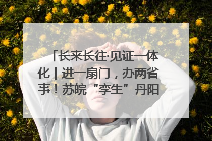 长来长往·见证一体化｜进一扇门，办两省事！苏皖“孪生”丹阳如何做到的？