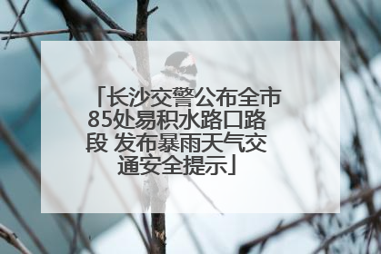 长沙交警公布全市85处易积水路口路段 发布暴雨天气交通安全提示
