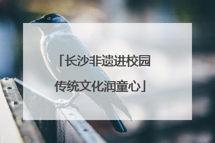 长沙非遗进校园 传统文化润童心