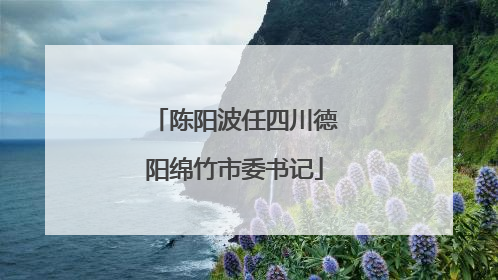 陈阳波任四川德阳绵竹市委书记