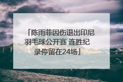 陈雨菲因伤退出印尼羽毛球公开赛 连胜纪录停留在24场