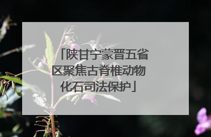 陕甘宁蒙晋五省区聚焦古脊椎动物化石司法保护