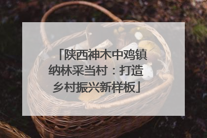 陕西神木中鸡镇纳林采当村：打造乡村振兴新样板