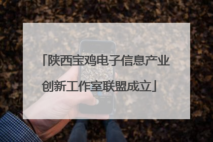 陕西宝鸡电子信息产业创新工作室联盟成立