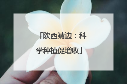 陕西靖边：科学种植促增收