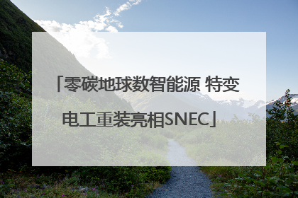 零碳地球数智能源 特变电工重装亮相SNEC