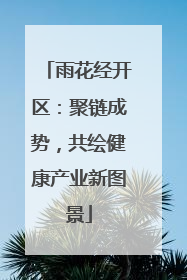 雨花经开区：聚链成势，共绘健康产业新图景