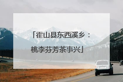 霍山县东西溪乡：桃李芬芳茶事兴