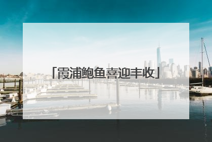 霞浦鲍鱼喜迎丰收