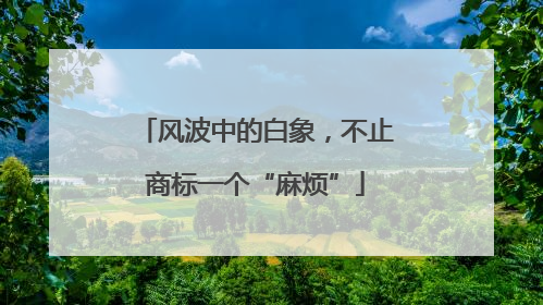 风波中的白象，不止商标一个“麻烦”
