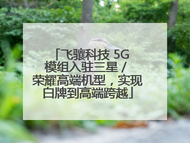 飞骧科技 5G 模组入驻三星 / 荣耀高端机型，实现白牌到高端跨越
