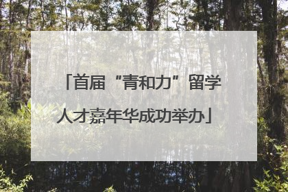 首届“青和力”留学人才嘉年华成功举办