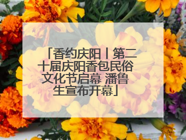 香约庆阳丨第二十届庆阳香包民俗文化节启幕 潘鲁生宣布开幕