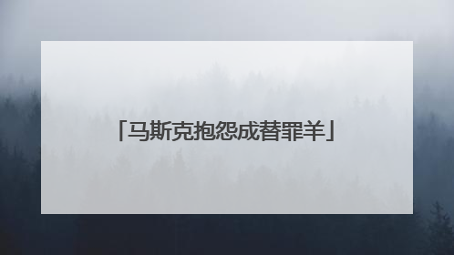 马斯克抱怨成替罪羊