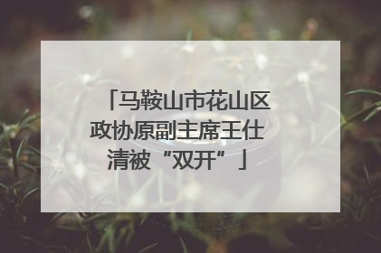 马鞍山市花山区政协原副主席王仕清被“双开”