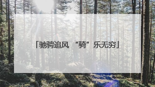 驰骋追风 “骑”乐无穷
