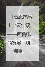 高原产品上“云”端——西藏电商发展一线观察