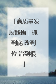 高质量发展践悟｜抓到底 改到位 治到根