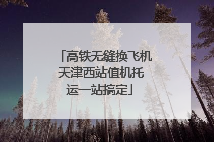 高铁无缝换飞机 天津西站值机托运一站搞定