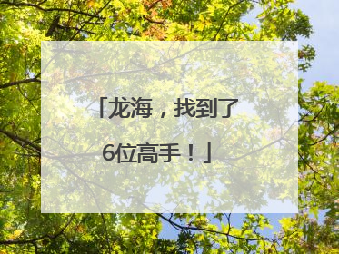 龙海，找到了6位高手！