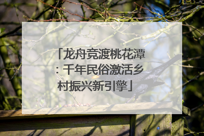 龙舟竞渡桃花潭：千年民俗激活乡村振兴新引擎