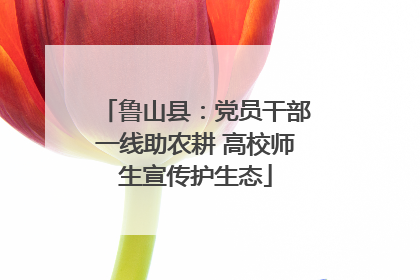 鲁山县：党员干部一线助农耕 高校师生宣传护生态