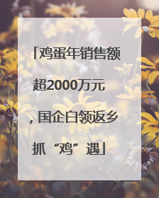 鸡蛋年销售额超2000万元，国企白领返乡抓“鸡”遇