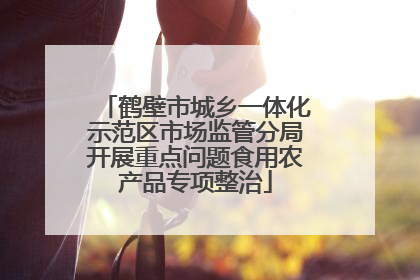 鹤壁市城乡一体化示范区市场监管分局开展重点问题食用农产品专项整治