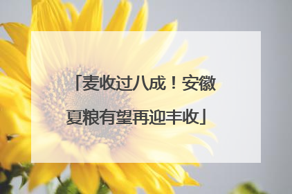 麦收过八成！安徽夏粮有望再迎丰收